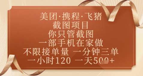 飞猪美团截图项目，你只管截图，一部手机在家做，正规平台无套路，一天5张+【揭秘】副业基地_极客搞钱_中创网_福缘网_冒泡网_资源整合平台副业基地