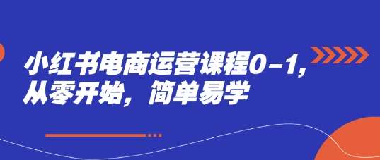 小红书电商运营课程0-1，从零开始，简单易学副业基地_极客搞钱_中创网_福缘网_冒泡网_资源整合平台副业基地