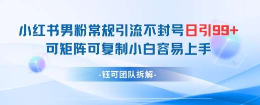 小红书男粉常规引流不封号日引99+变现简单 可矩阵可复制小白容易上手副业基地_极客搞钱_中创网_福缘网_冒泡网_资源整合平台副业基地