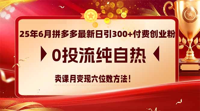 （14989期）25年6月拼多多最新日引300+付费创业粉，0投流纯自热 卖课月变现六位数方法副业基地_极客搞钱_中创网_福缘网_冒泡网_资源整合平台副业基地